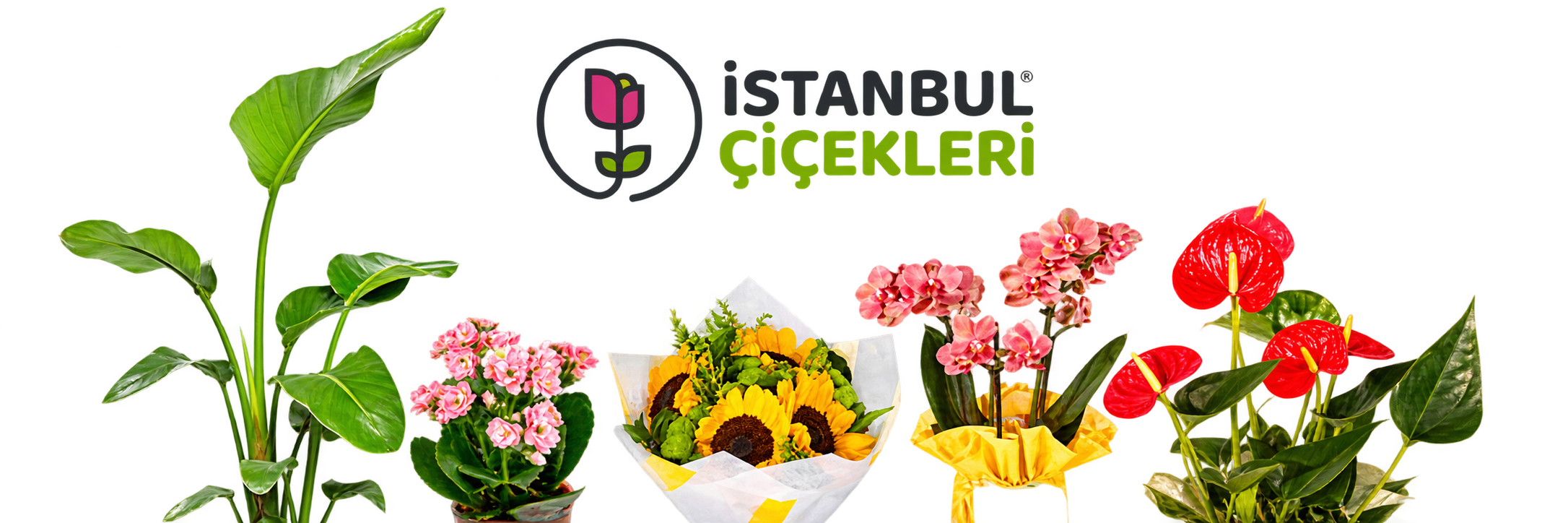 İstanbul Çiçek logosu
